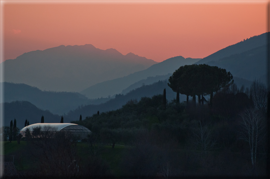 foto Pendici del Monte Grappa in Inverno